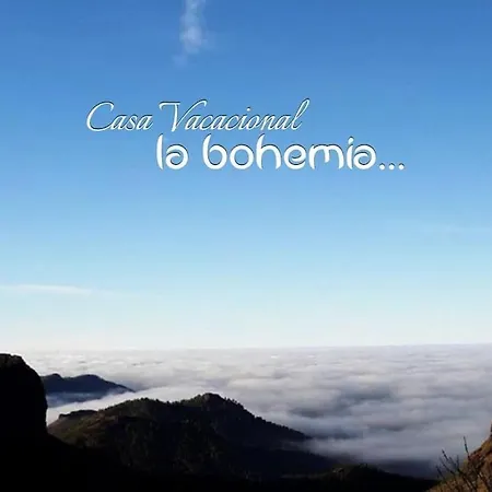 La Bohemia * 克鲁兹·德·特赫达